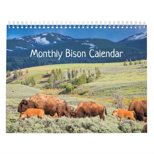 Calendario Bison mensual - Edición de Parques Naci (Tapa)