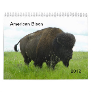 Calendario Bisonte americano