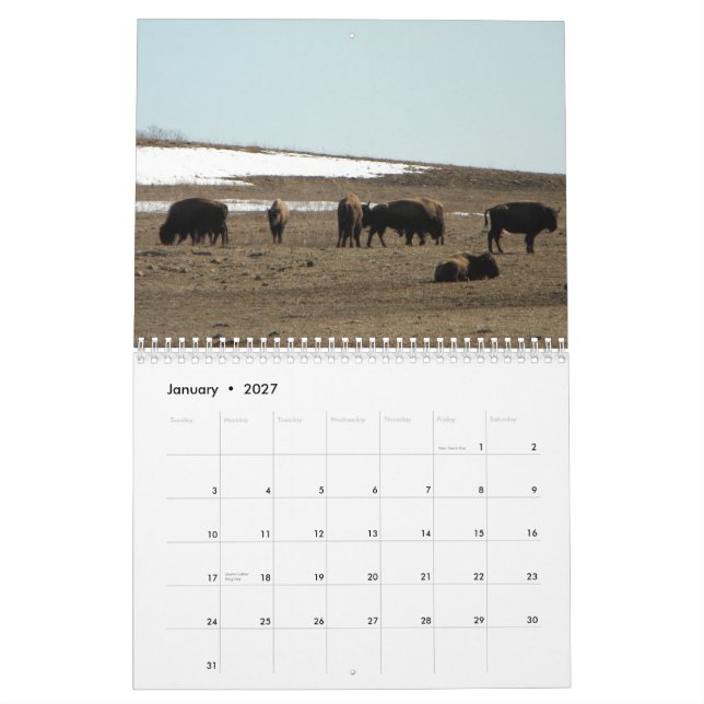 Calendario Bisonte americano (Jan 2027)