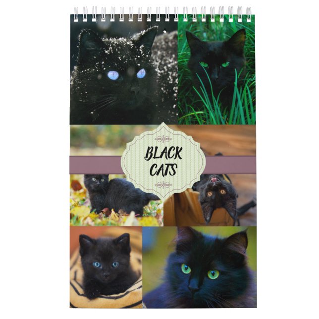 Calendario Black Cats One Page (Tapa)