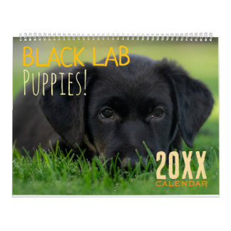 Calendario Black Lab Puppies Calendar Puppy Dog Labrador