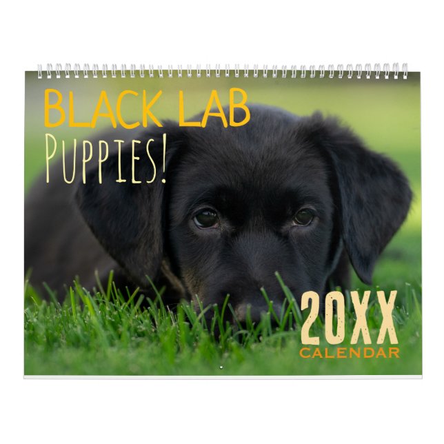 Calendario Black Lab Puppies Calendar Puppy Dog Labrador (Tapa)