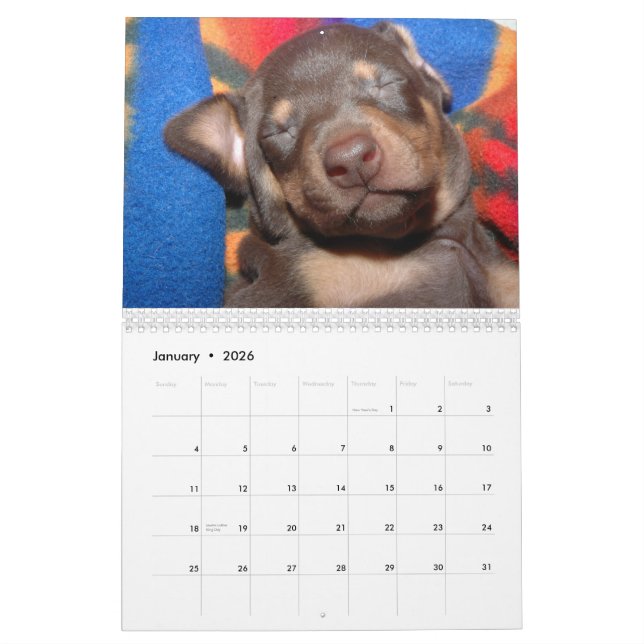 Calendario blanco del Doberman (Jan 2026)