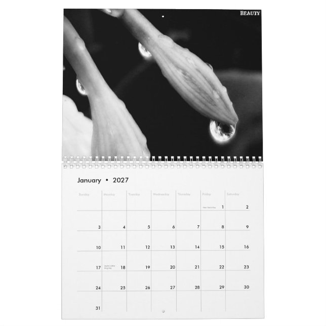 Calendario blanco y negro 2010 (Jan 2027)