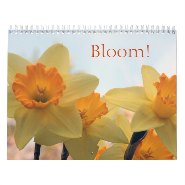 Calendario Blogs (Tapa)