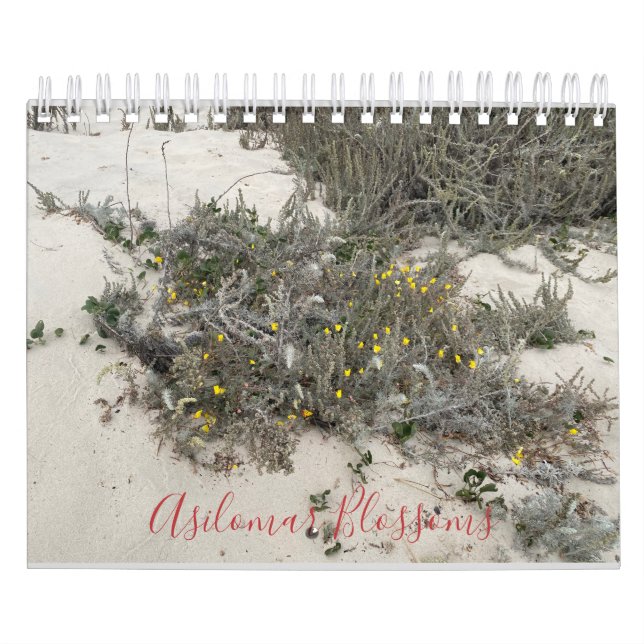 Calendario Blossoms Asilomar (Tapa)