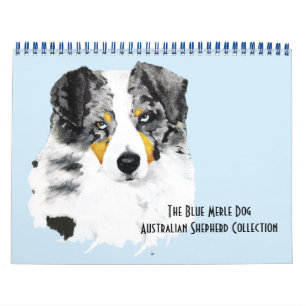 Calendario Blue Merle Australian Shepherd Two Page M.Calendar