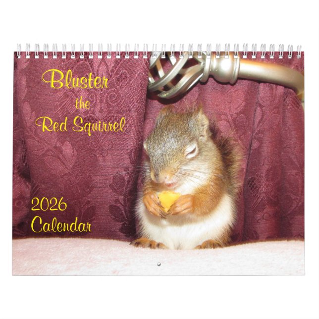 Calendario Bluster the Red Squirrel 2026 Calendar (Tapa)