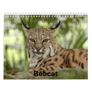Calendario BobcatBCR031, lince