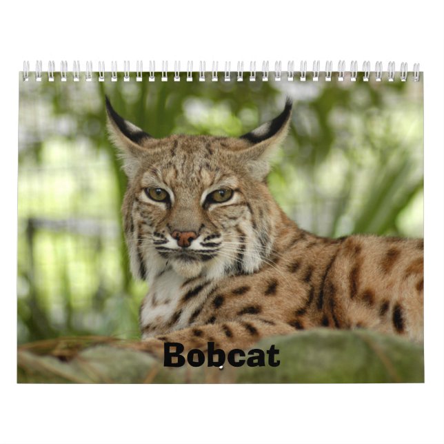 Calendario BobcatBCR031, lince (Tapa)