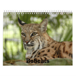Calendario BobcatBCR032, linces