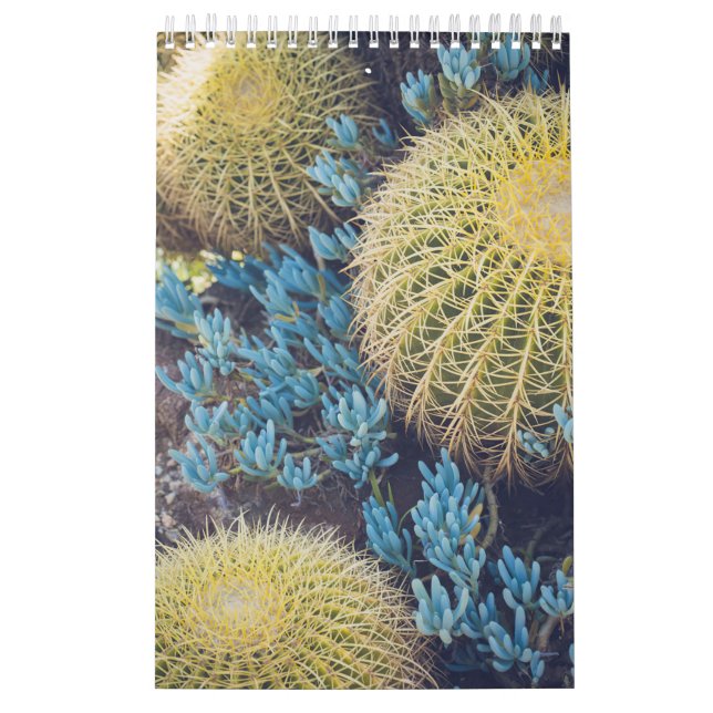 Calendario Boho Cactus Garden (Tapa)