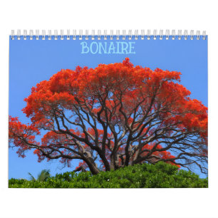 Calendario Bonaire bienvenido