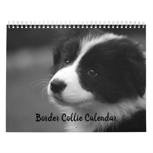 Calendario Bonito del Perro Pastor de Border (Tapa)