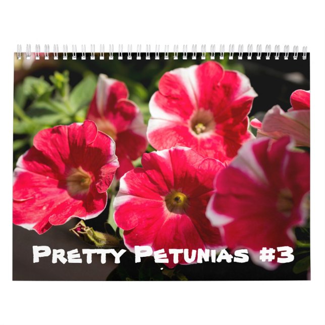 Calendario - Bonitos Petunias (Tapa)