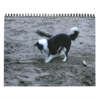 Calendario Borderes collies a montones