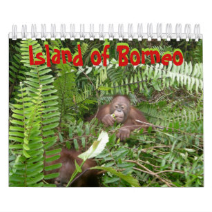 Calendario Borneo