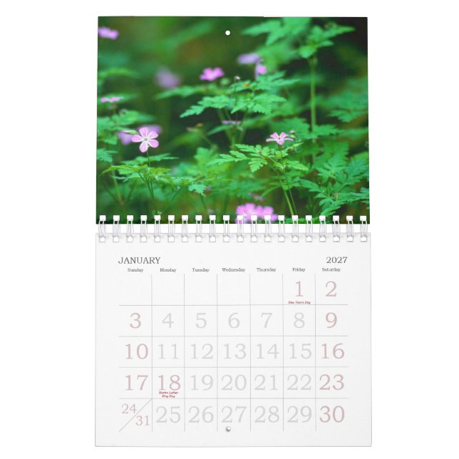 Calendario Bosque (Jan 2027)
