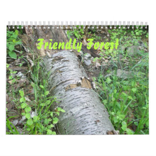 Calendario - Bosque amigable
