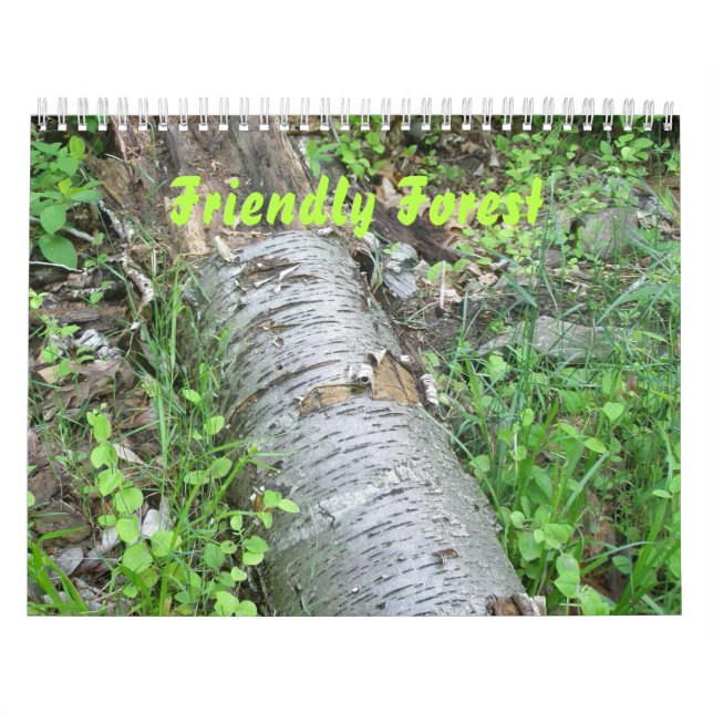 Calendario - Bosque amigable (Tapa)