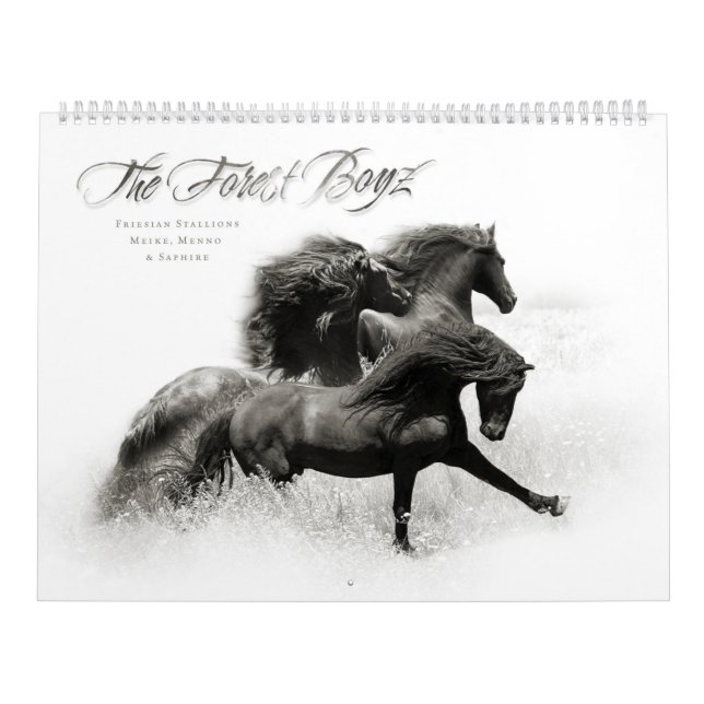 Calendario Bosque Boyz 2020 (Tapa)