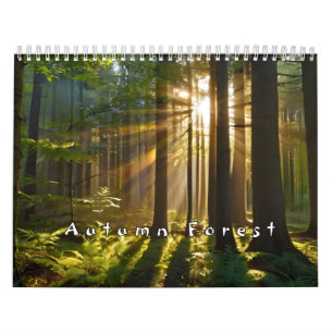 Calendario Bosque de otoño con vigas de sol