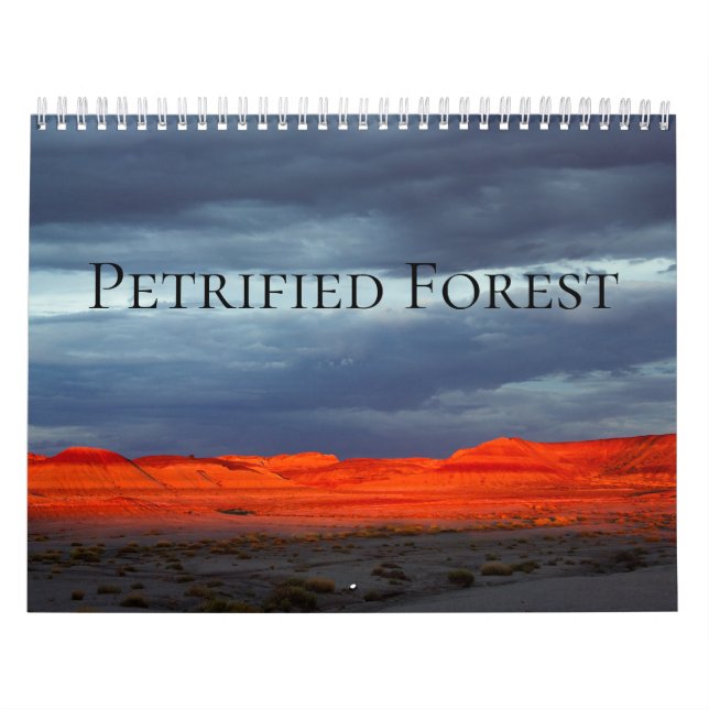 Calendario Bosque Petrificado (Tapa)