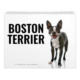 Calendario Boston Terrier