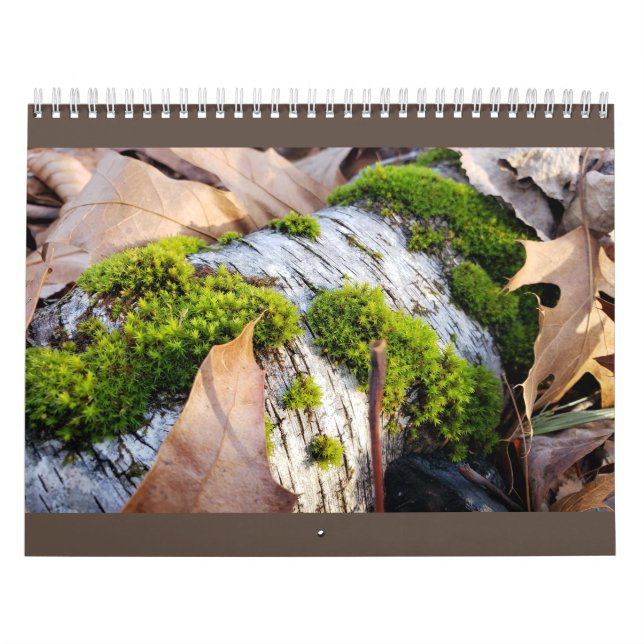 Calendario botánico (Tapa)