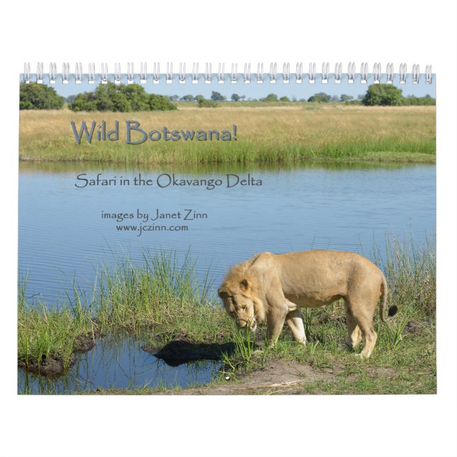 Calendario ¡Botswana salvaje! Safari en el delta de Okavango (Tapa)