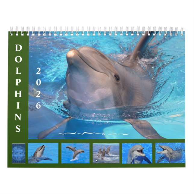 Calendario Bottlenose dolphins 12 month calendar (Tapa)