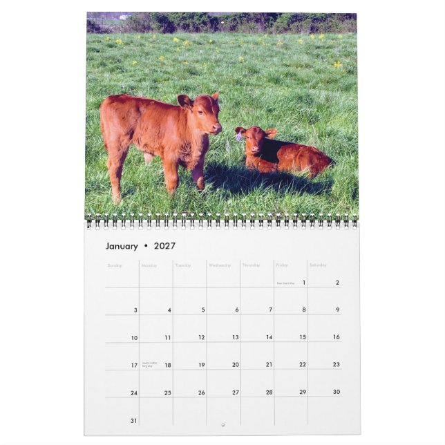 Calendario Bovino (Jan 2027)