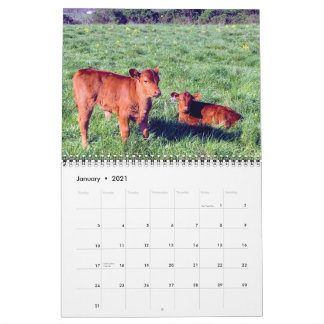 Calendario Bovino