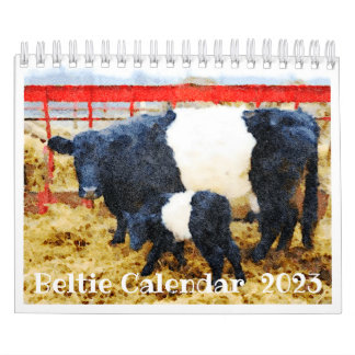 Calendario Bovino de vaca de la franja de corbata de Galloway