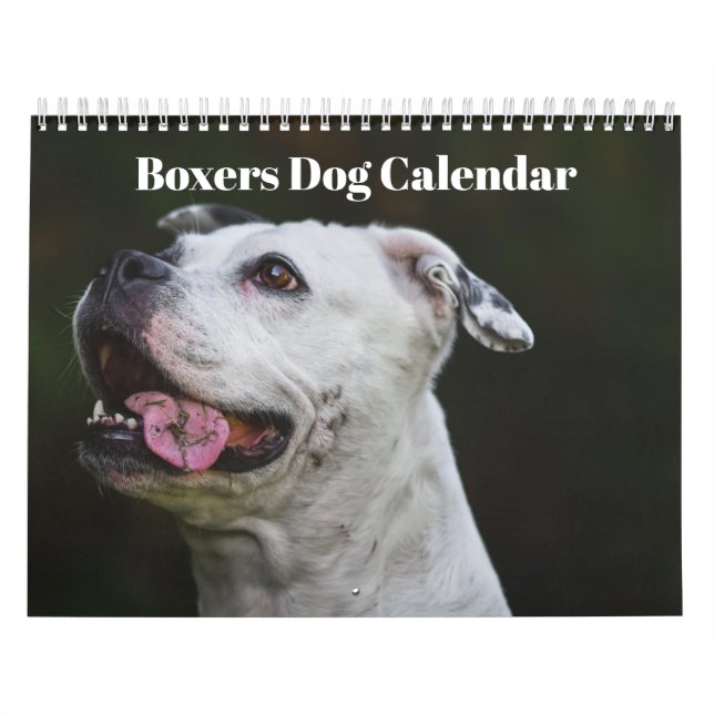 Calendario Boxers Dogs 2025 (Tapa)