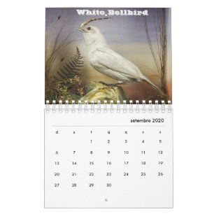 Calendario Brasil