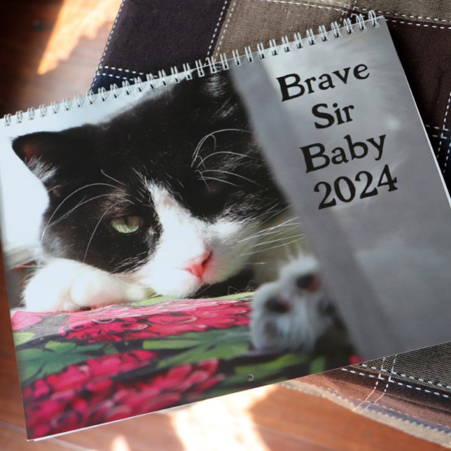 Calendario Brave Sir Baby (Subido por el creador)