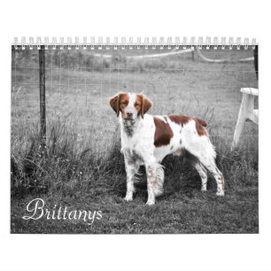 Calendario Brittanys