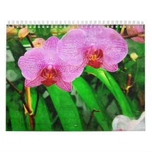 Calendario bromeliad y orquídeas tropicales, Fairchild g