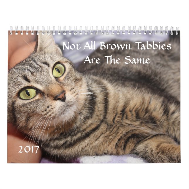CALENDARIO BROWN TABBY 2017 CALENDAR (Tapa)