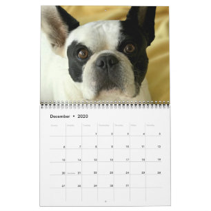 Calendario Bubba Louie 2020