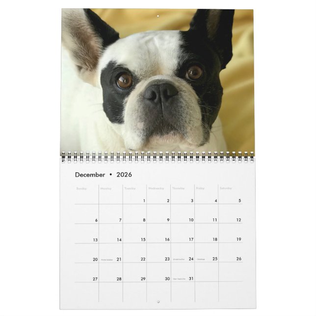 Calendario Bubba Louie 2020 (Dec 2026)