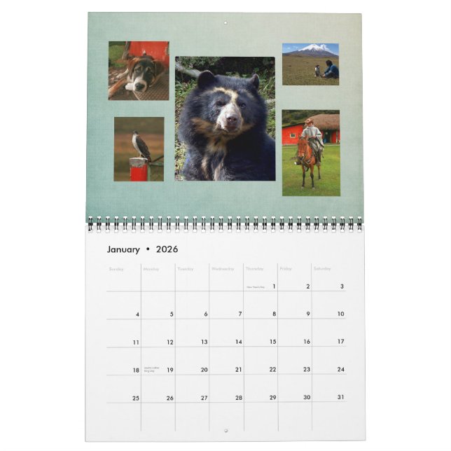 Calendario Bubu 2011 (Jan 2026)