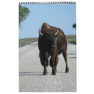 Calendario Buffaloed