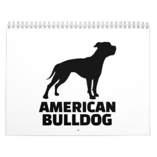 Calendario Bulldog americano