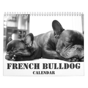 Calendario Bulldog Francés 2026 Blanco Y Negro