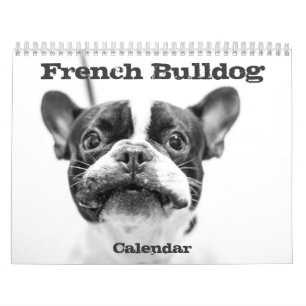 Calendario Bulldog Francés 2026 Blanco Y Negro