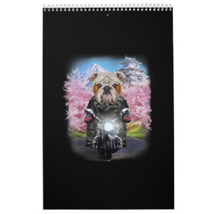 Calendario Bulldog Inglés En Motocicleta En Sakura Japonés