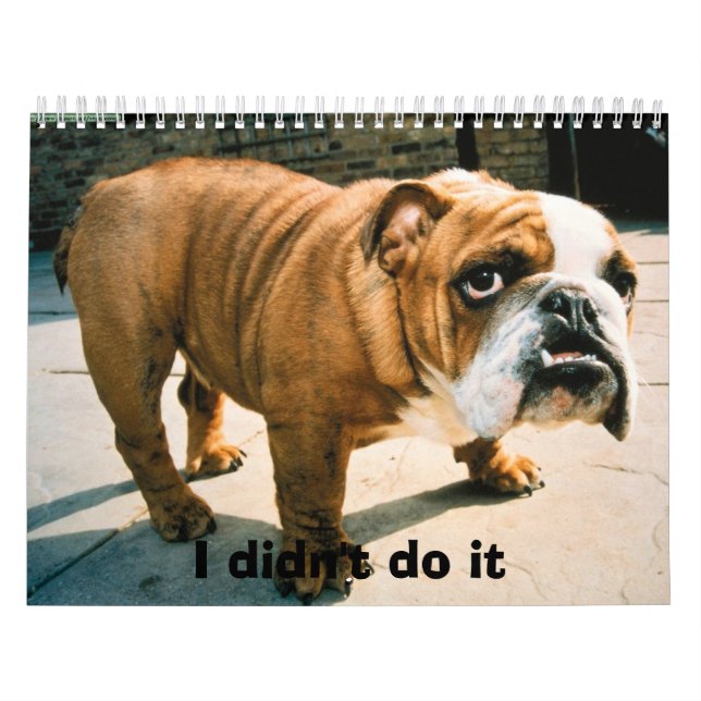 Calendario bulldoges (Tapa)