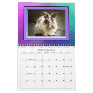 CALENDARIO BUNIES REALES 2026